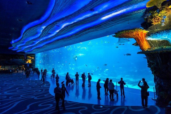 Chimelong-Ocean-Kingdom-Shark-Aquarium