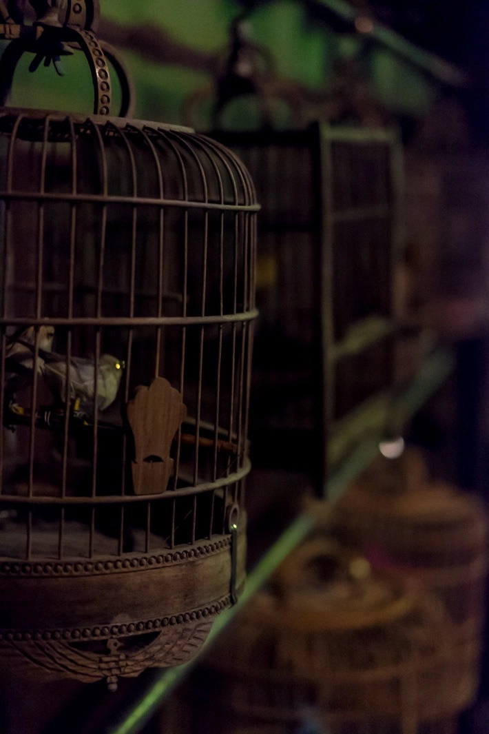 Ocean Park Halloween Photo by: Chopstick on the Loose (www.chopsticksontheloose.com)