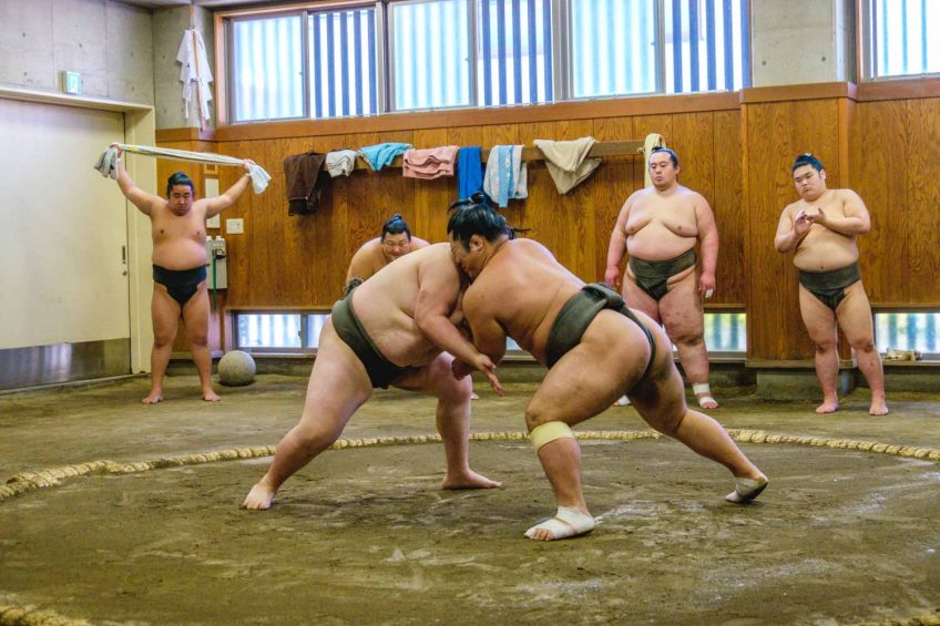 sumo wrestlers trying to push each other out