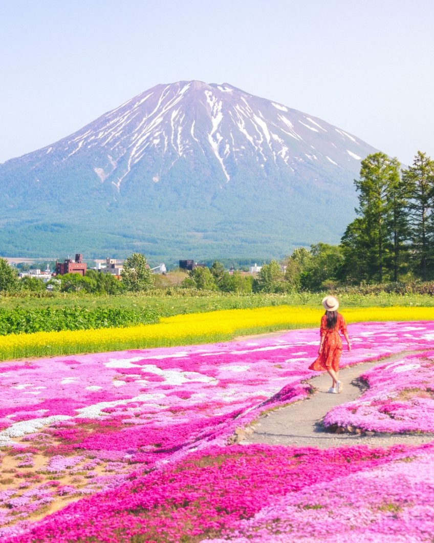 Hokkaido Summer Road Trip - Mr Mishima's Garden
