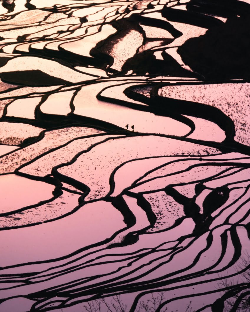 Yuanyang rice terraces